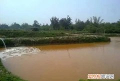鱼塘里的水锈怎么去除