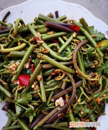 蕨菜怎么做好吃，四川的蕨菜怎么做好吃