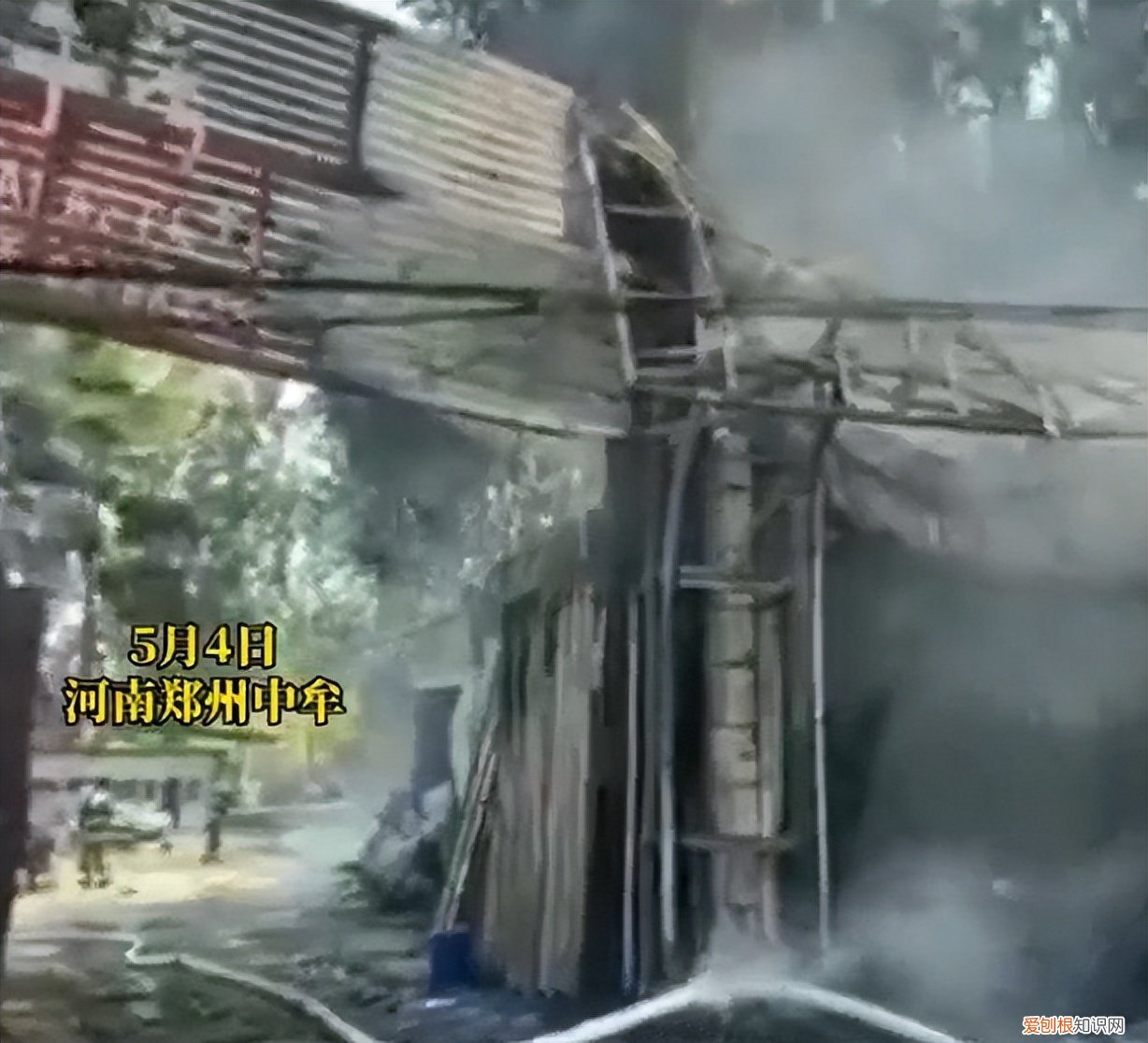 男子无聊点燃杨絮致30余辆车被烧毁