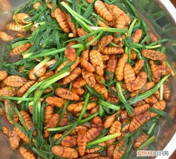 蛾怎么做好吃,炒蚕蛹怎么做好吃炒蚕蛹的家常做法是什么
