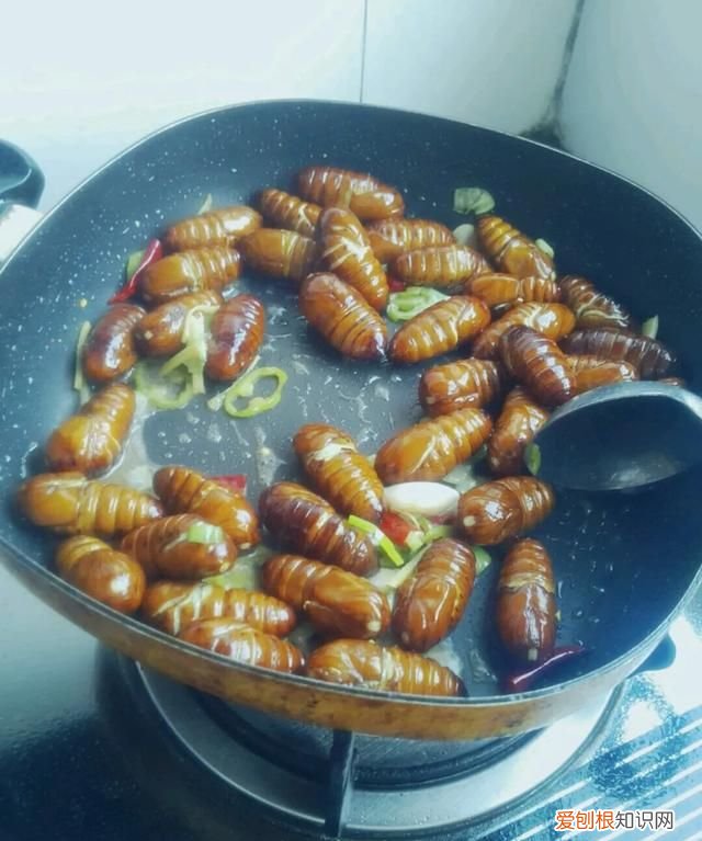 蛾怎么做好吃,炒蚕蛹怎么做好吃炒蚕蛹的家常做法是什么