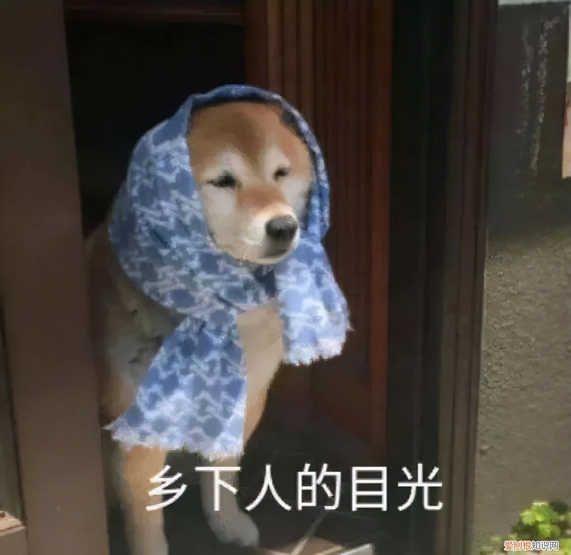 智能筷子筒哪个牌子好?