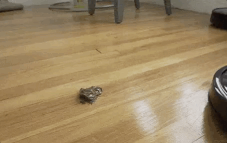 智能筷子筒哪个牌子好?