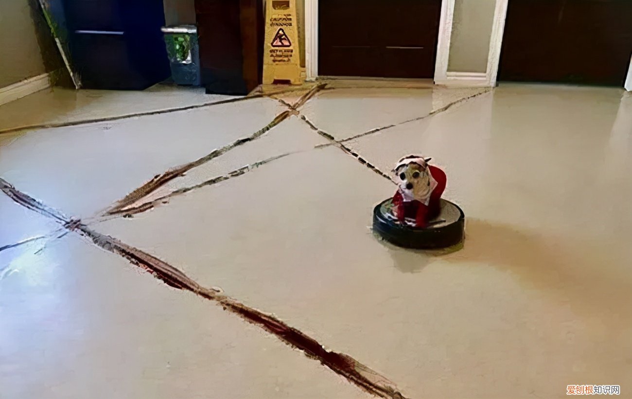 智能筷子筒哪个牌子好?