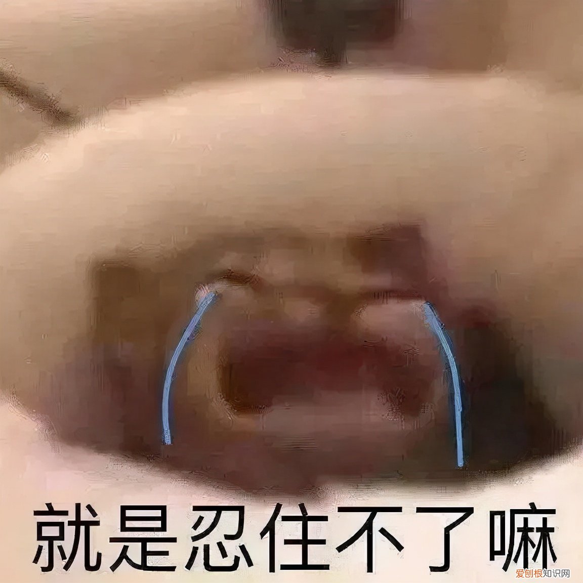 智能筷子筒哪个牌子好?