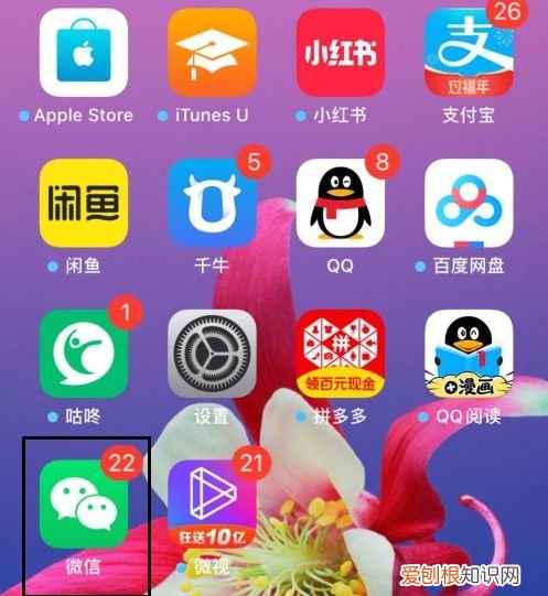 如何查看对方微信号