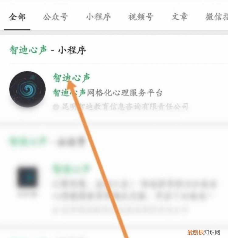智迪心声怎么登录