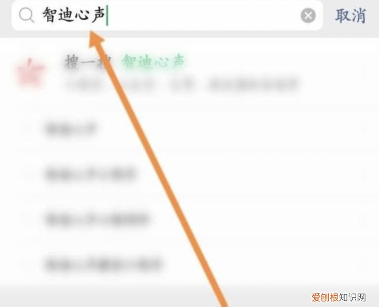 智迪心声怎么登录