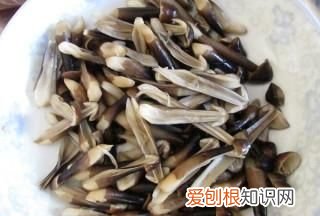 黑皮鸡枞菌野生的