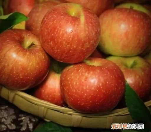 苹果是什么味道的，苹果和橘子是什么味道