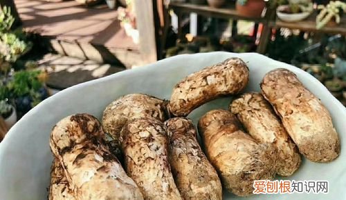 松茸保鲜期多久，新鲜松茸一般几月份有保质期多久