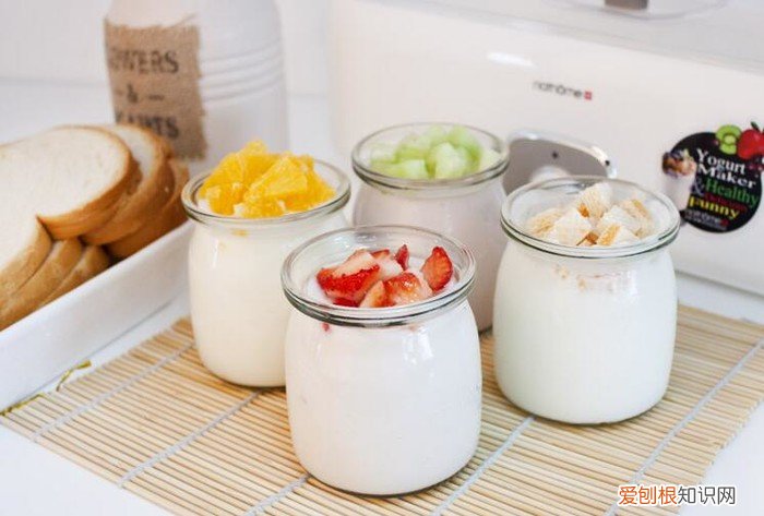 九阳酸奶机好用吗?