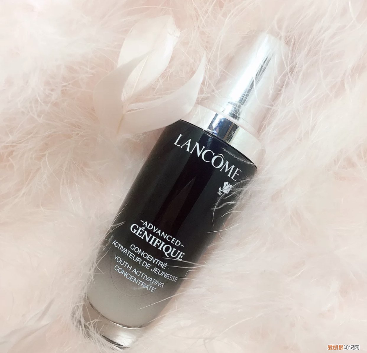 兰蔻小黑瓶怎么样？价格多少钱？