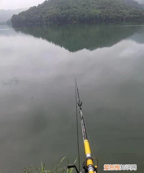 泥鳅怎么打窝怎么不跑