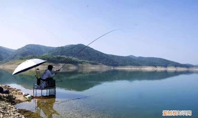 泥鳅怎么打窝怎么不跑