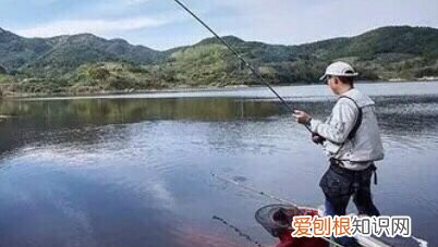 泥鳅怎么打窝怎么不跑