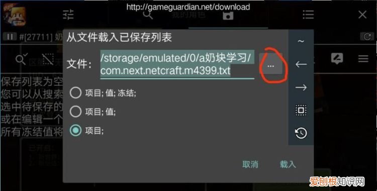 修改器是什么,GG修改器成长守护是什么