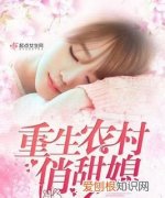 求本重生在农村发展的小说，重生在一个农村小孩身上的小说