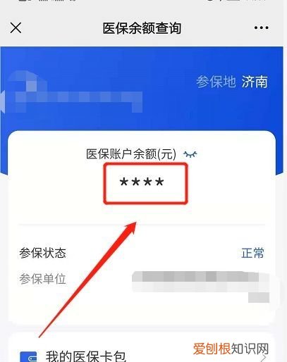 医保电子凭证怎么查余额