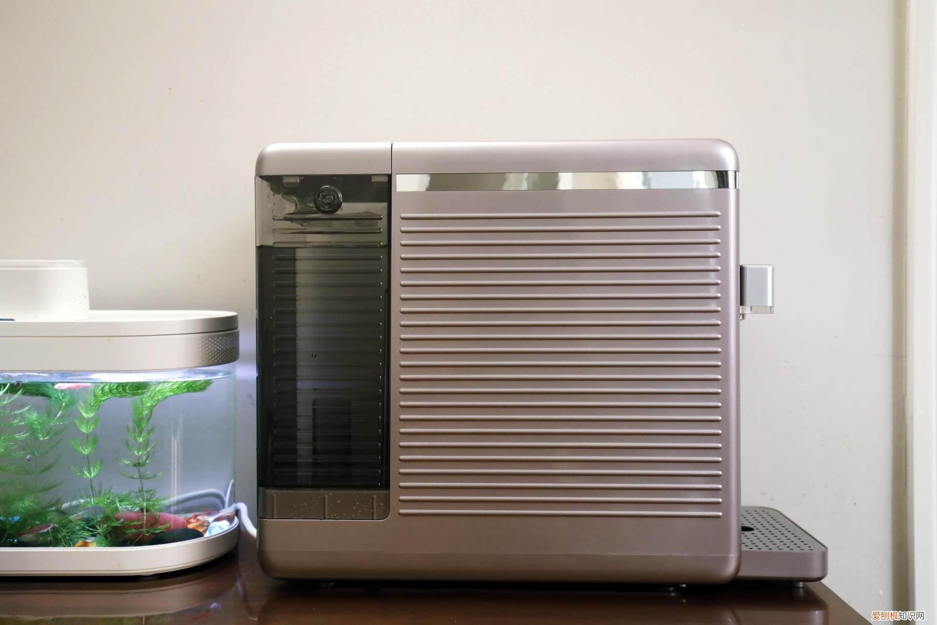 碧云泉净水机哪个型号好?