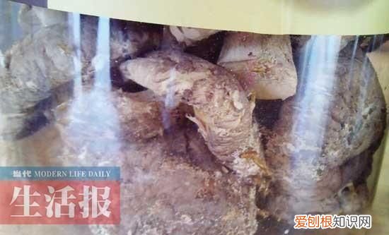 干香菇长虫要怎么处理，干香菇长了肉虫怎么吃