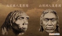 北京人和山顶洞人的区别，北京人和山顶洞人的社会形态是怎样的