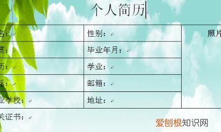 如何在个人简历插入照片