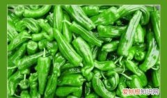 炸青椒怎样才不变色，青辣椒怎么晒干不变色