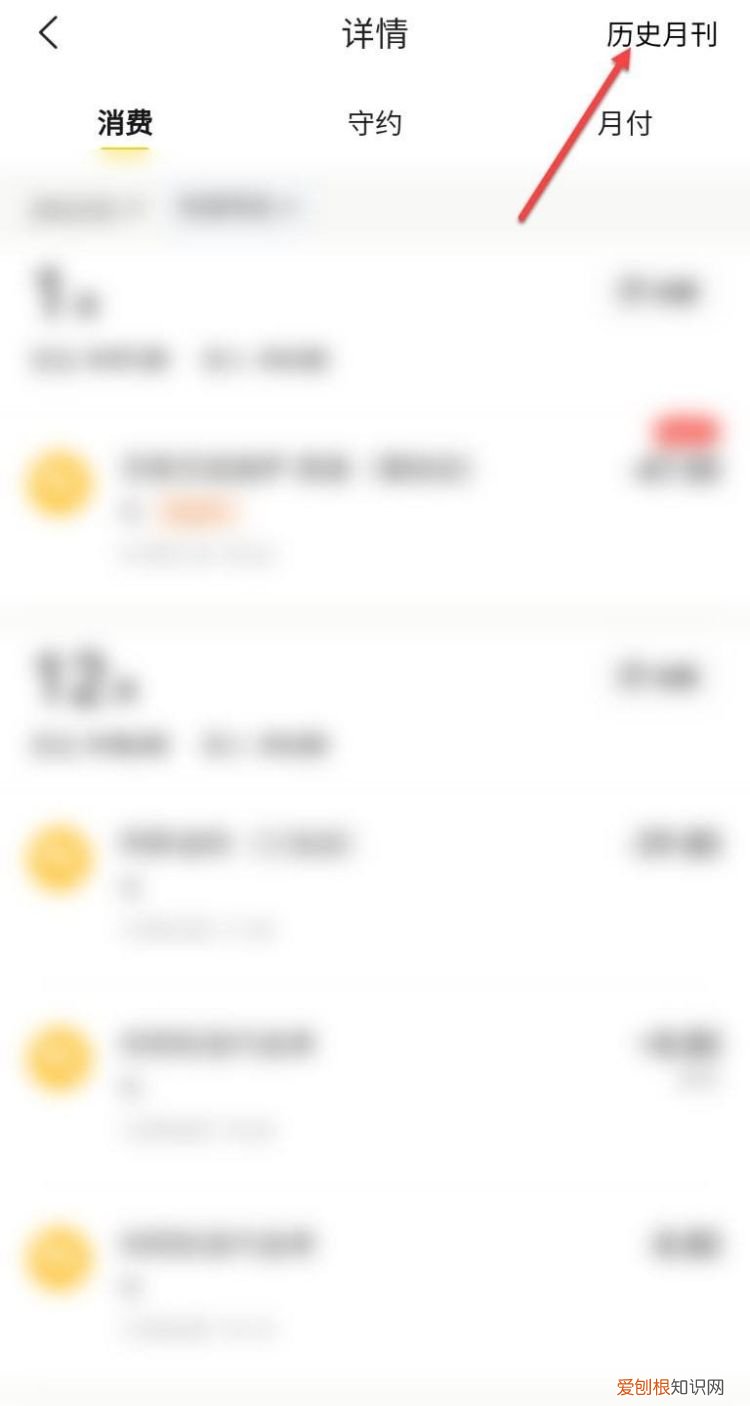 美团怎么查看每个月的收支统计