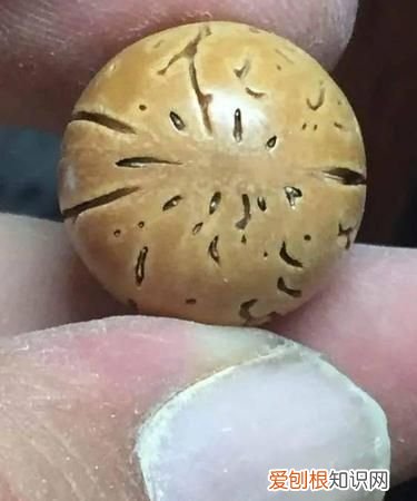 桃核挂瓷还用抛光,桃核打底需要用抛光板吗