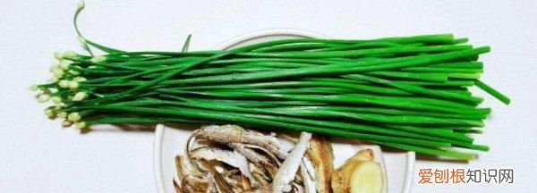 韭菜苔怎么做