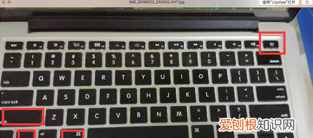 option键是哪个键，ps4手柄l是哪个键