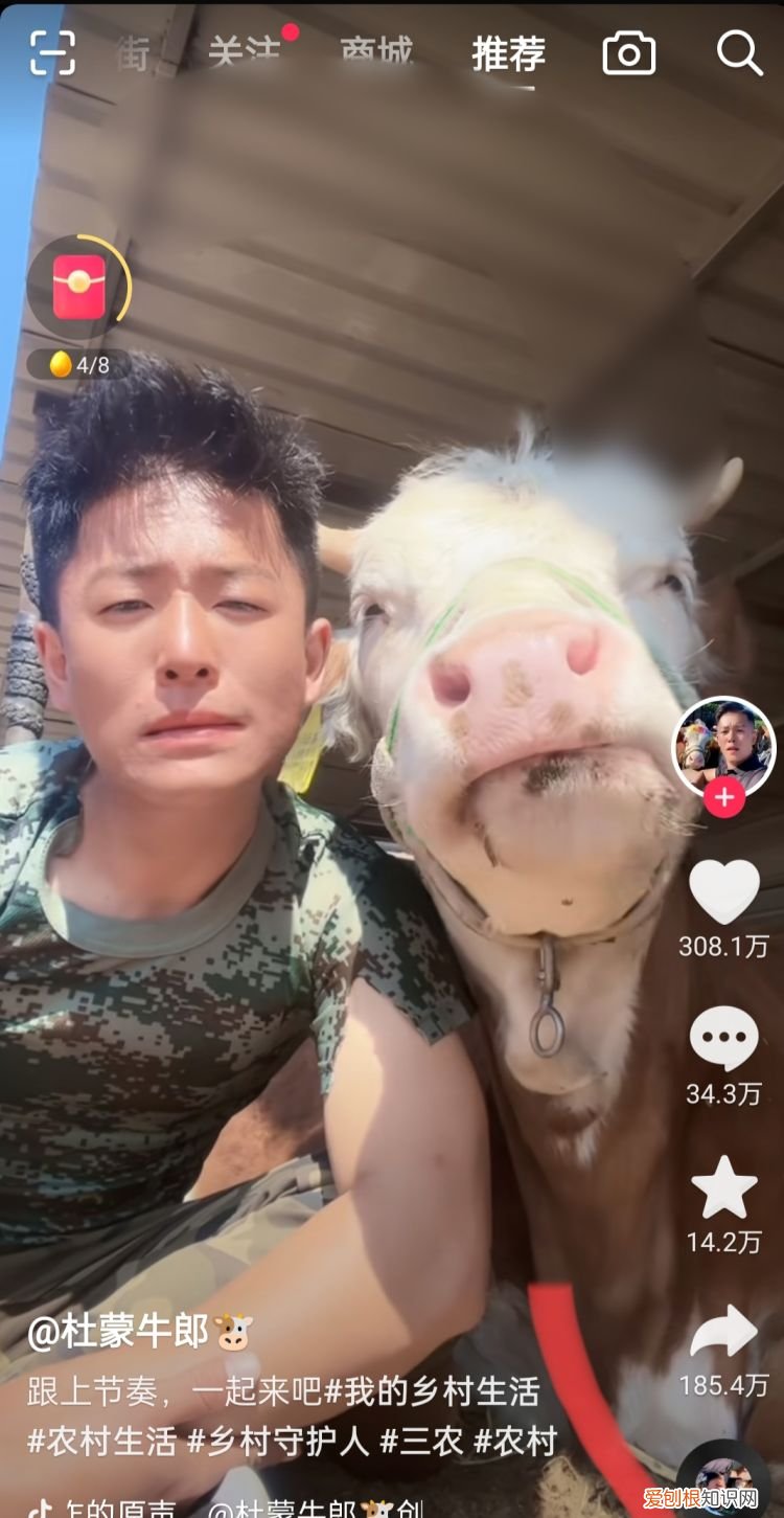 抖音上购物如何退款