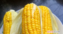 怎么做玉米，玉米粒怎么做好吃