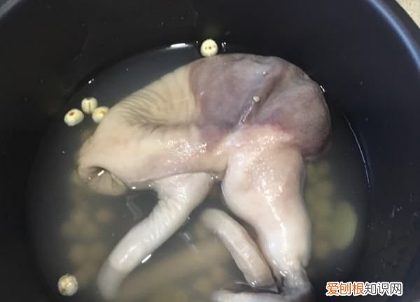 猪肚高压锅压多久才熟,猪肚用高压锅压多久才会烂