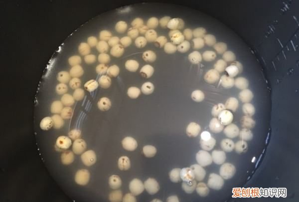 猪肚高压锅压多久才熟,猪肚用高压锅压多久才会烂