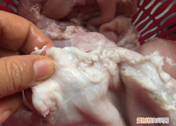 猪肚高压锅压多久才熟,猪肚用高压锅压多久才会烂