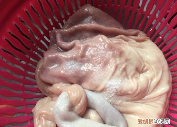 猪肚高压锅压多久才熟,猪肚用高压锅压多久才会烂