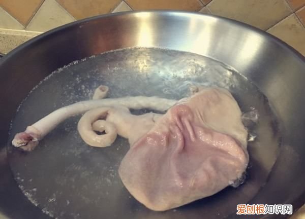 猪肚高压锅压多久才熟,猪肚用高压锅压多久才会烂