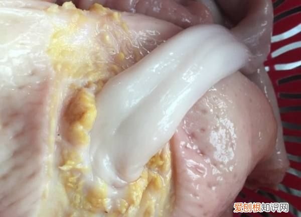 猪肚高压锅压多久才熟,猪肚用高压锅压多久才会烂