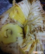 菠萝蜜坏了是什么样子，菠萝蜜水滋滋的是什么情况
