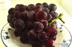 葡萄在冰箱里面可以存放多少天