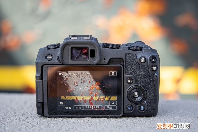 相机什么牌子好用性价比高？