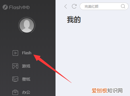 swf文件怎么开