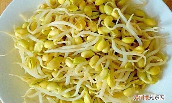 豆子发芽了能吃吗，青豆发芽了还能吃青豆的营养价值