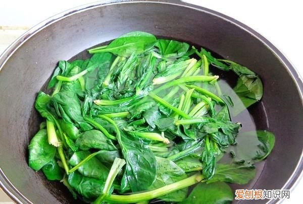 菠菜包饺子馅做法大全,菠菜饺子 菠菜怎么包饺子好吃