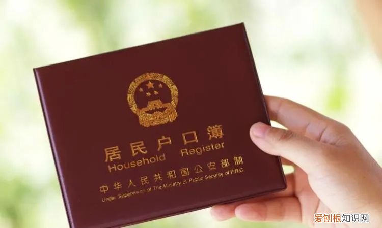 没带身份证怎么坐飞机