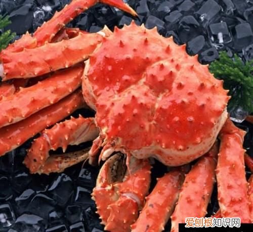 130帝王蟹长什么样,帝王蟹壳软怎么回事