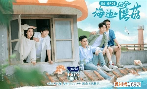 湖南卫视多部综艺本周暂停播出?