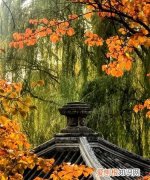 一年好景君须记的君是什么意思